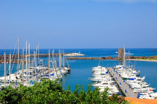 Marina Castelsardo Haven Sardinië — Stockfoto