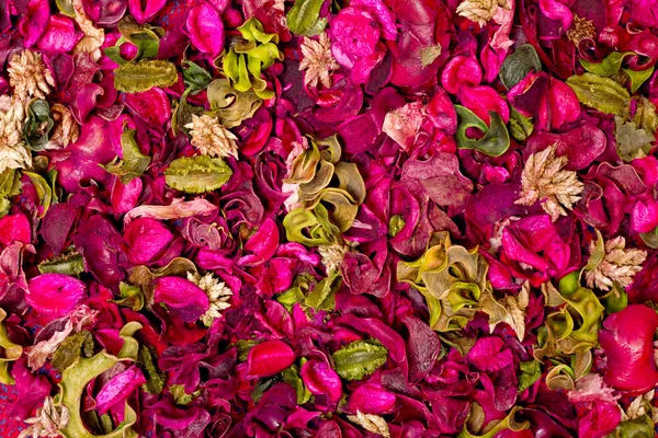 Texture floral rug — Stock Photo, Image