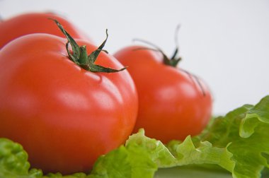 lechuga ensalada de tomate