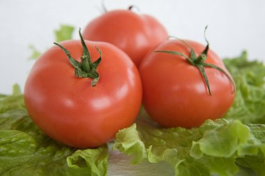 lechuga ensalada de tomate