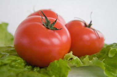 lechuga ensalada de tomate