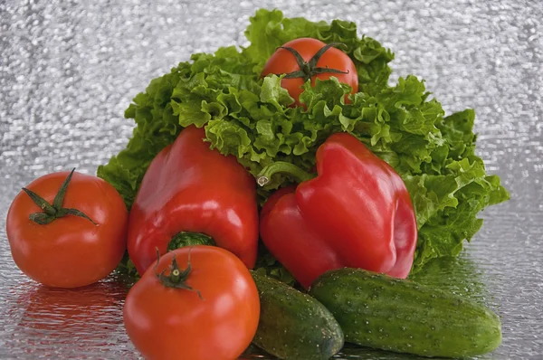 Peppar sallad tomat gurka — Stockfoto