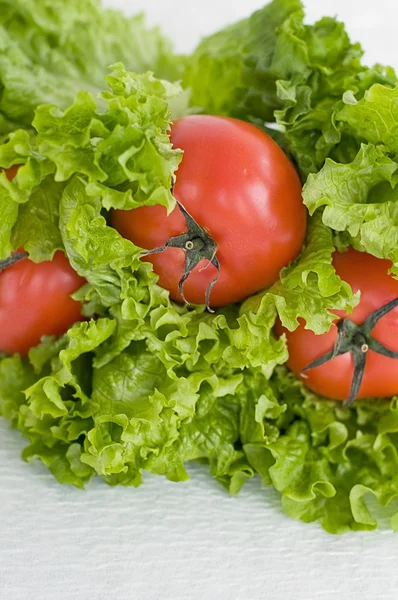 Alface de salada de tomate — Fotografia de Stock