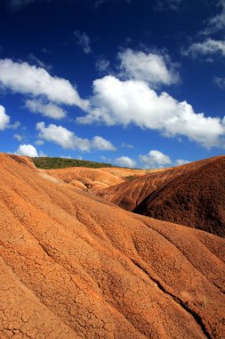 La savane des pétrifications est située en Martinique sur la commune de Sainte-Anne