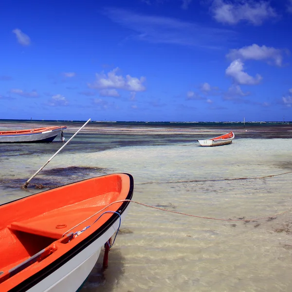 Bateaux Pêcheur Dans Mer Des Caraïbes Martinique ロイヤリティフリーのストック写真