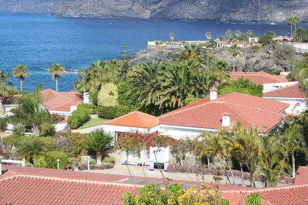 Tropické Luxusních Domů Kanárek Tenerife — Stock fotografie