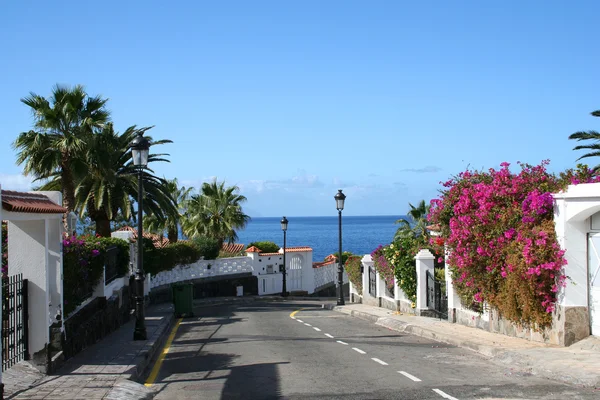 Tenerife Los Gigantos Cadde Evler Okyanus — Stok fotoğraf