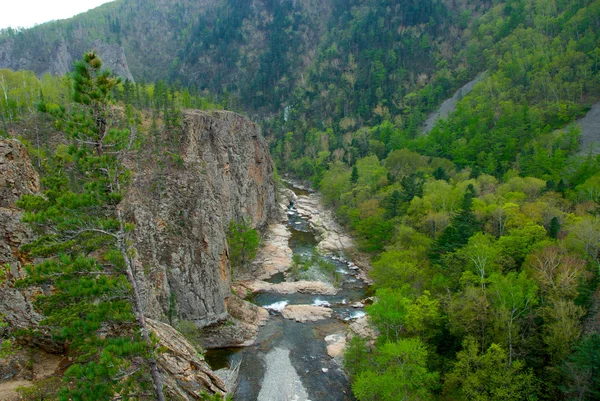 Stock image Mountain valley river Milogradovka