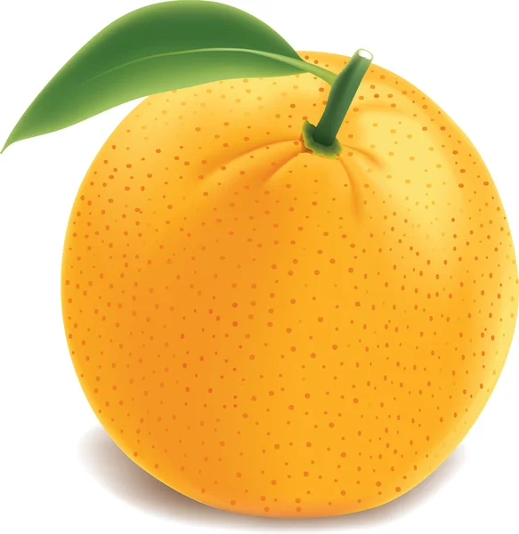 Sappige sinaasappel — Stockvector
