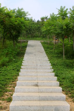 Green trees by the stone steps clipart