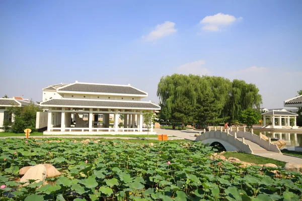 Chinese architecture scenery in a park — Stock Photo, Image