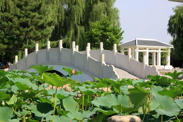Cenário de arquitetura chinesa em um parque — Fotografia de Stock