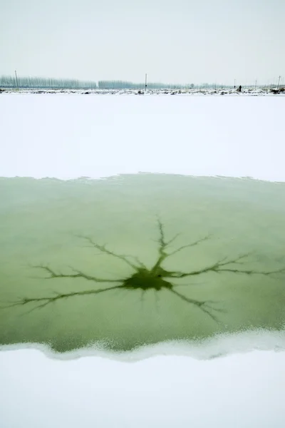 Rachaduras no gelo da lagoa de peixes na neve — Fotografia de Stock