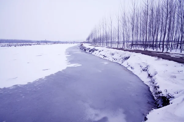 Рыбный пруд в снегу зимой — стоковое фото