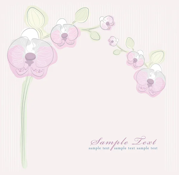 Floral pink orchid bakgrund — Stock vektor