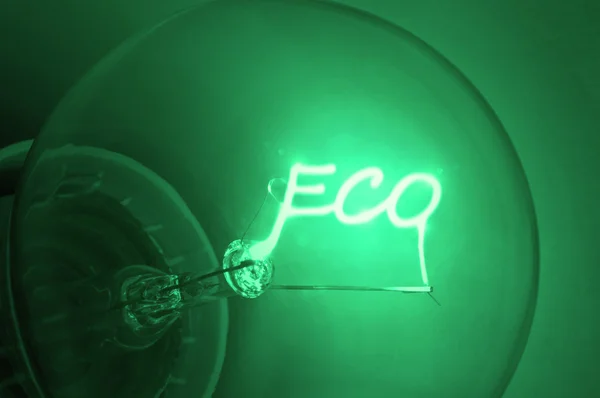 Ecologische groene energie. — Stockfoto