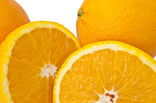 Citrus samling. — Stockfoto