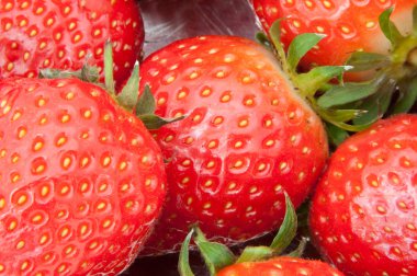 Taze çilekleri kapatın..