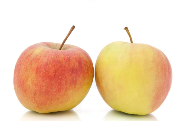 Dwa jabłka. — Zdjęcie stockowe
