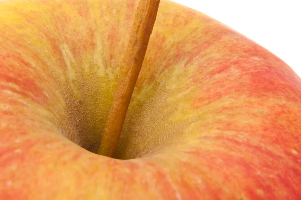 Fresh apple. — Stock Photo, Image