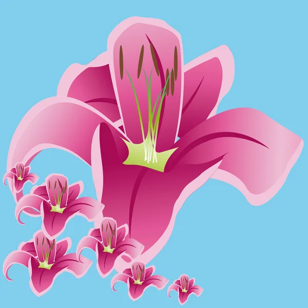 Thème Lily — Image vectorielle