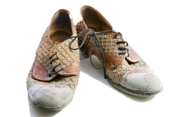 Sapatos vintage cobertos de molde — Fotografia de Stock