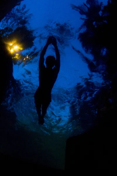 Swimmer diving into the water at sunset — Stock Photo, Image