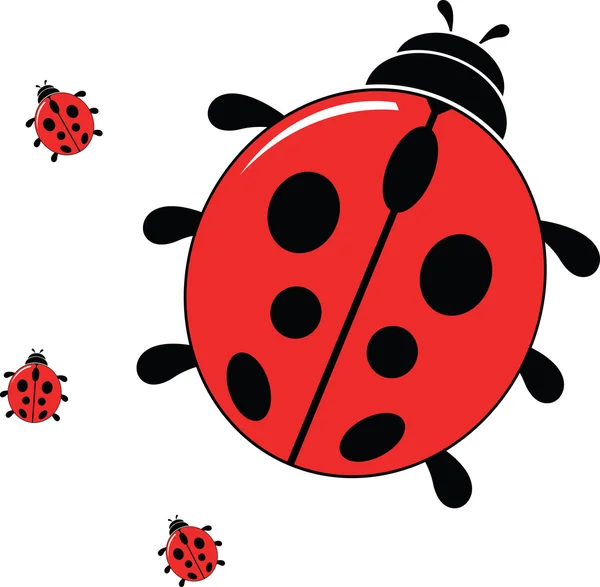 Stock vector Vector illustration of a ladybug