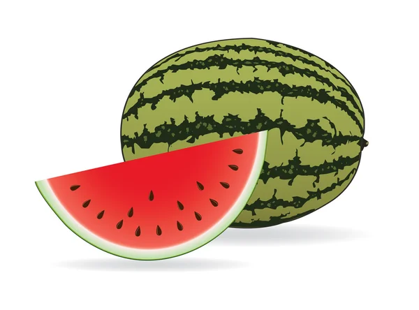 Wassermelonen-Illustrationsvektor — Stockvektor