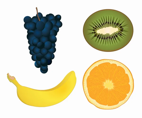 Tropiska frukter — Stock vektor