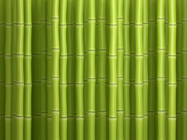 Parede Bambu Contexto Imagem De Stock
