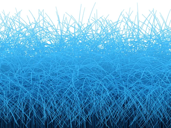 stock image Blue grass