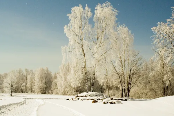 달빛 겨울 풍경 — 스톡 사진