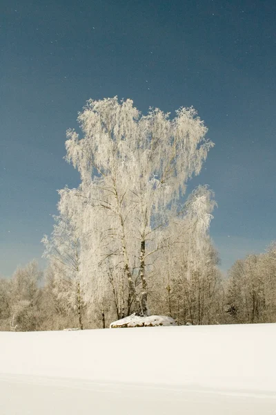 풍경에서 러시아의 — 스톡 사진