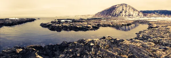 stock image Early spring on Sakhalin island, Okhotskoe sea, Russia