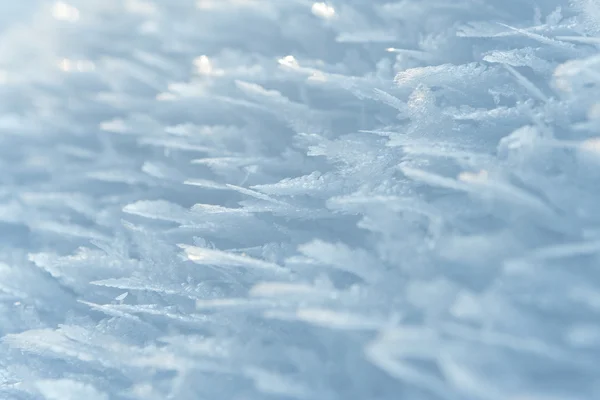 Λευκό frost — Φωτογραφία Αρχείου