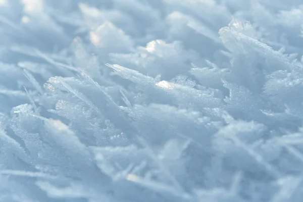 Белый мороз — стоковое фото