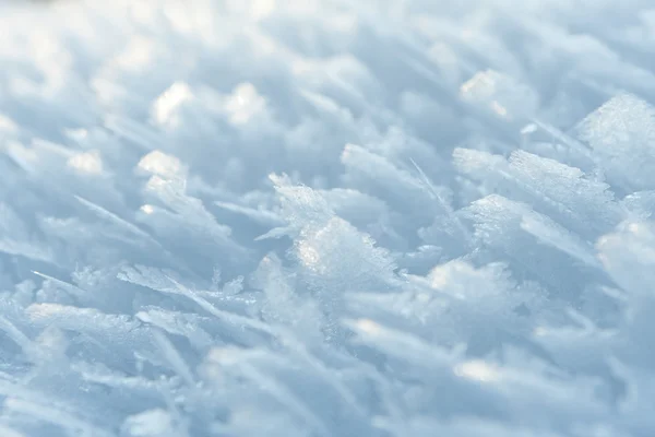 Λευκό frost — Φωτογραφία Αρχείου