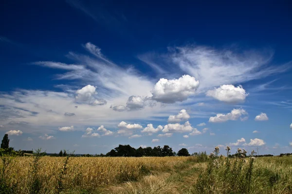 Summer afternoon at country side, beatiful clouds on deep blue sky