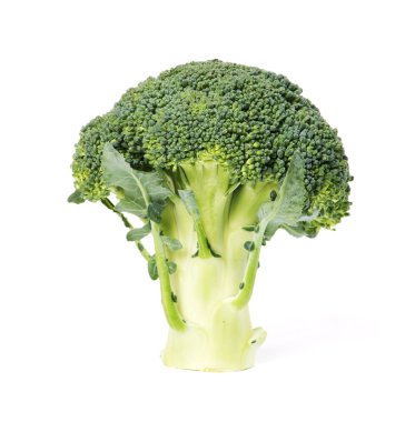 Green fresh brocoli clipart