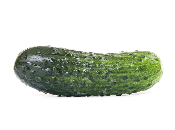 Smakelijk komkommer — Stockfoto