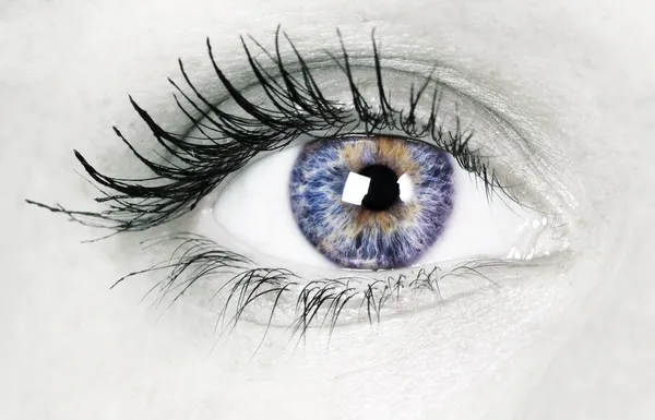 Beautiful eye — Stock Photo, Image