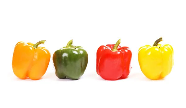 Four colorful paprikas — Stock Photo, Image