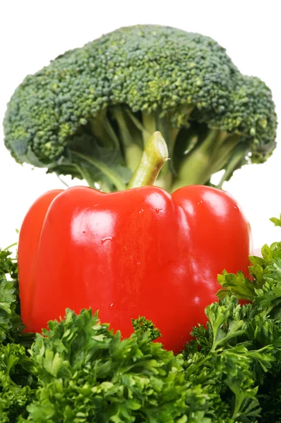 Frischer Paprika mit Brokkoli — Stockfoto