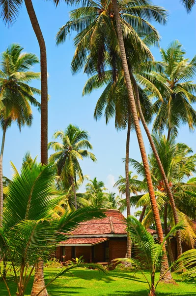 Haus auf der tropischen Insel — Stockfoto