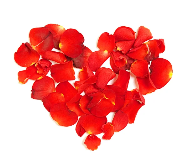 stock image Heart from leafs of rose