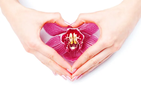 Серце зроблене пальцями над орхідеєю — стокове фото