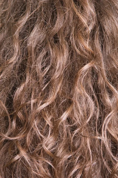 Długie brązowe włosy — Zdjęcie stockowe