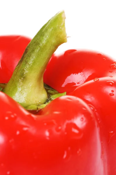 Macro shot of red paprika — Stock Photo, Image