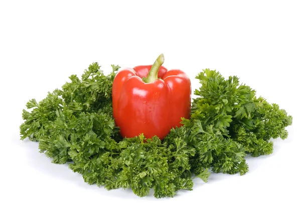 Páprica vermelha em salsa verde — Fotografia de Stock